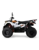 quad-kayo-au300-t3b (4).webp