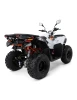 quad-kayo-au300-t3b (6).webp
