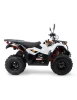 quad-kayo-au300-t3b (1).webp