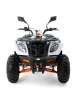 quad-kayo-au300-t3b (2).webp