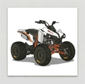 Quady Sportowe (ATV) - Kategoria Sklepu